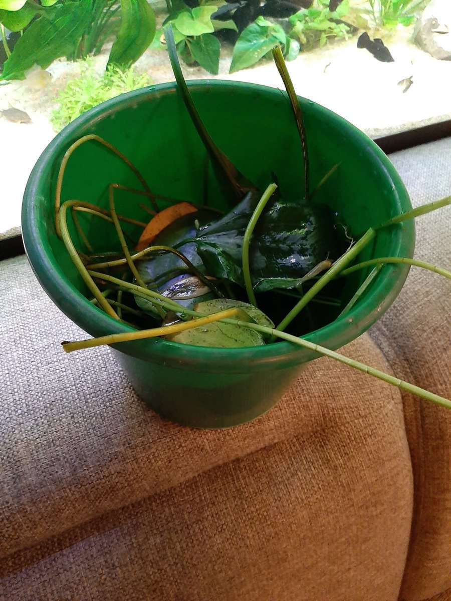 20201025_175605.jpg