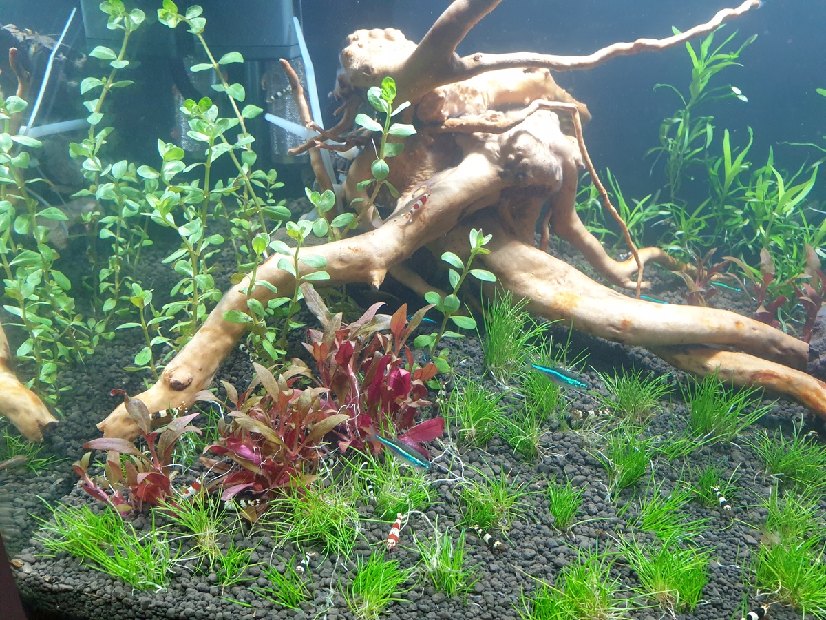 20201025_193003.jpg