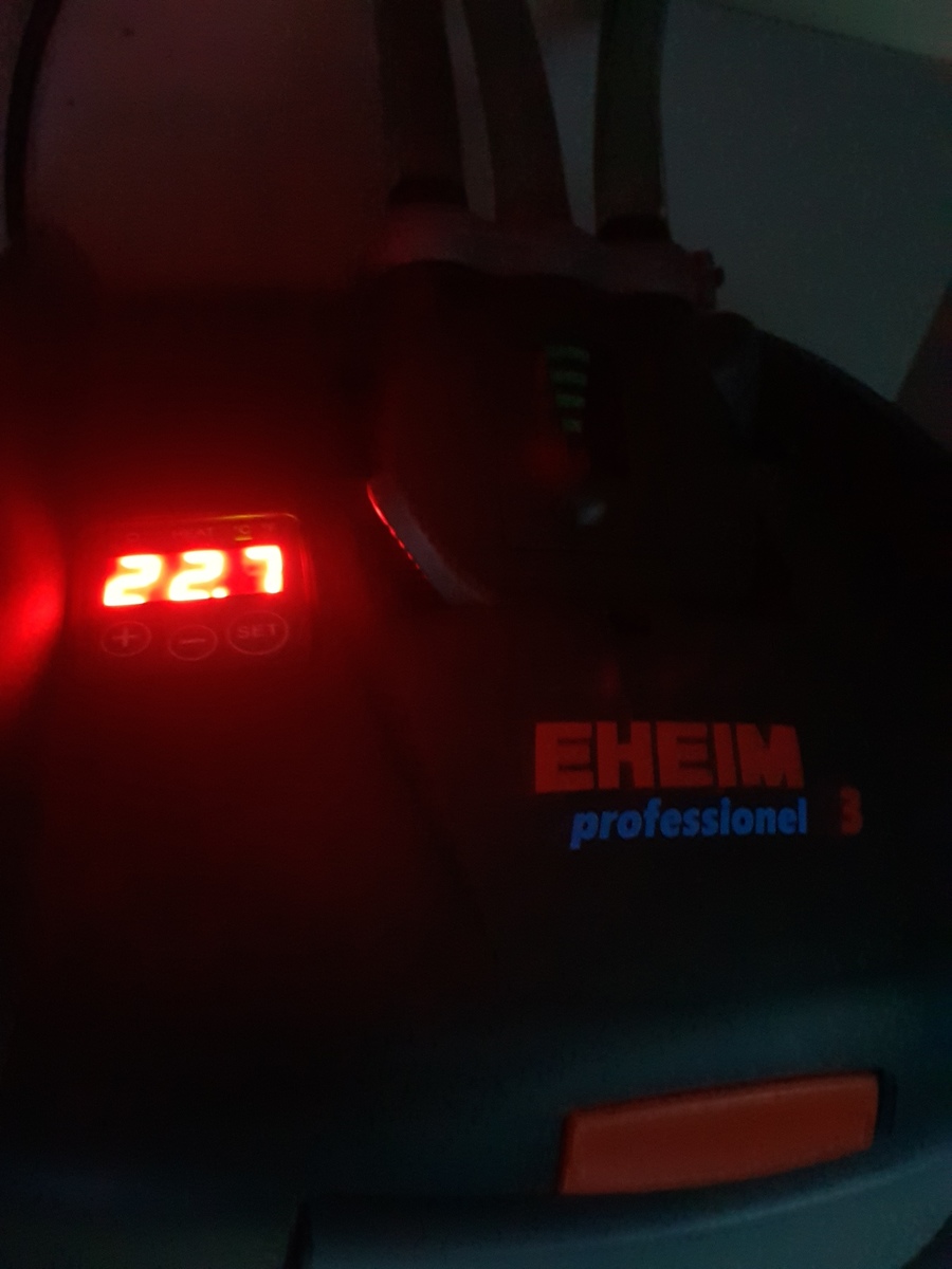 20201027_220129.jpg