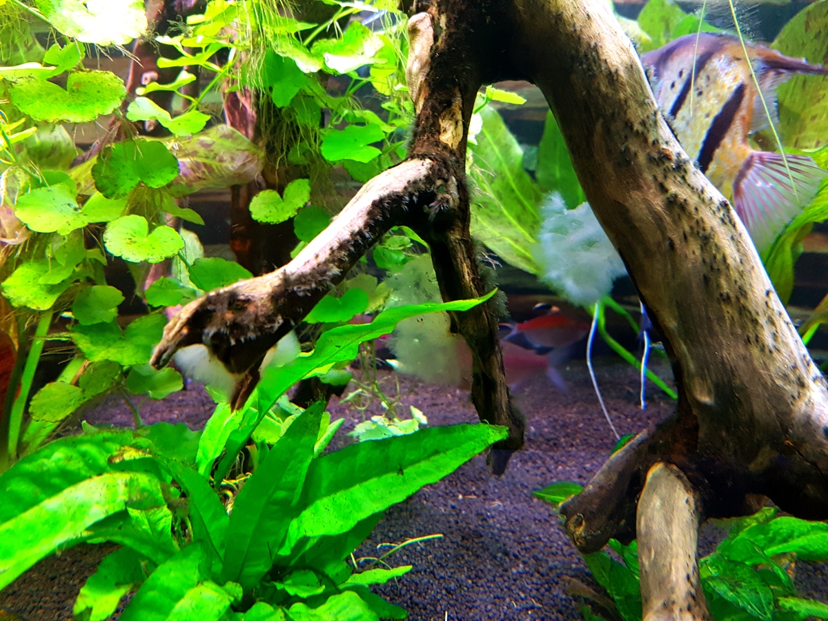 20201028_163412.jpg
