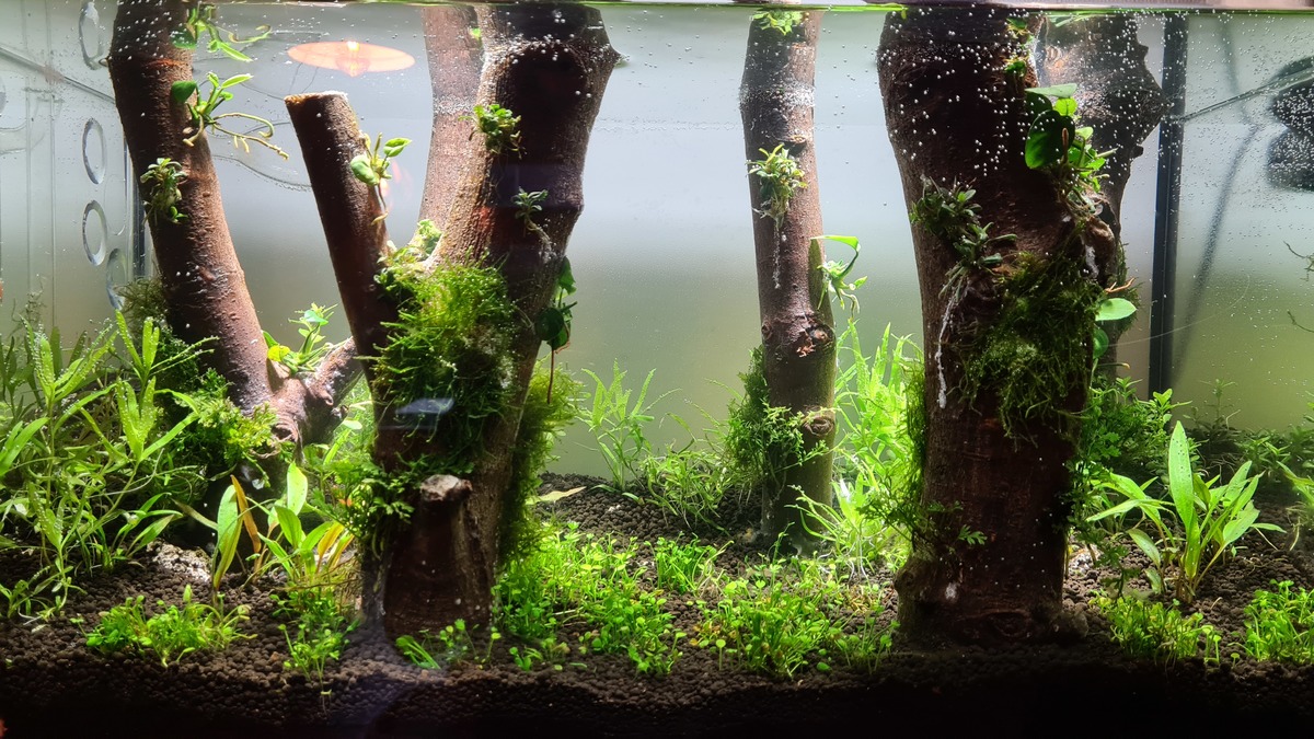 20201030_170646.jpg