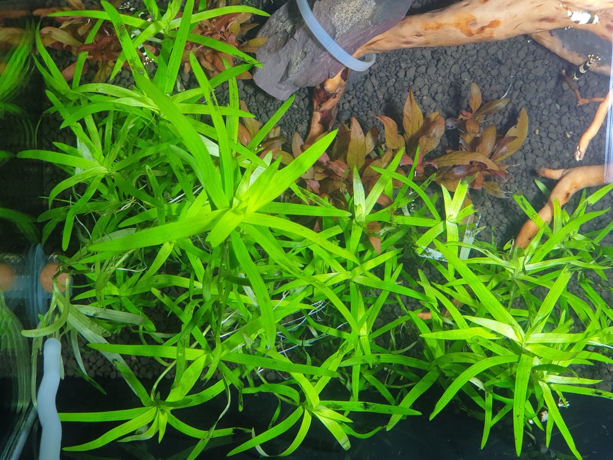 20201101_135044.jpg