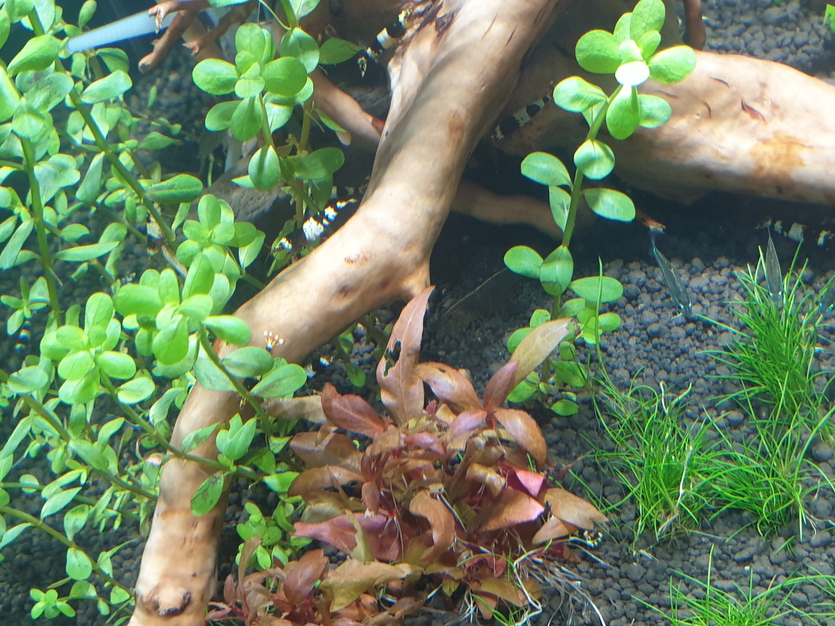 20201101_135146.jpg
