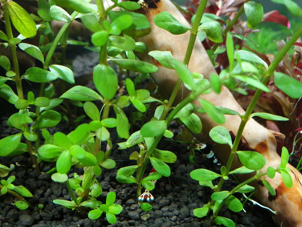 20201101_135232.jpg