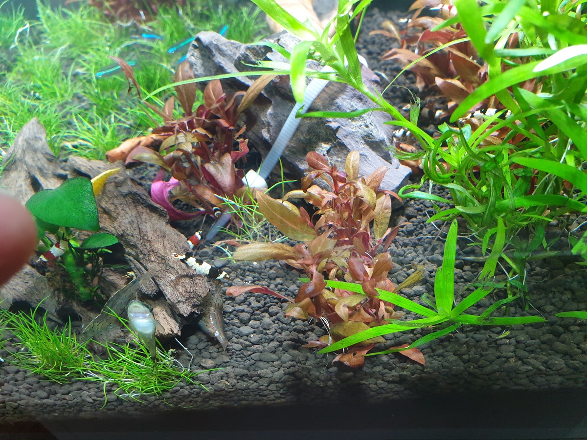 20201101_135308.jpg