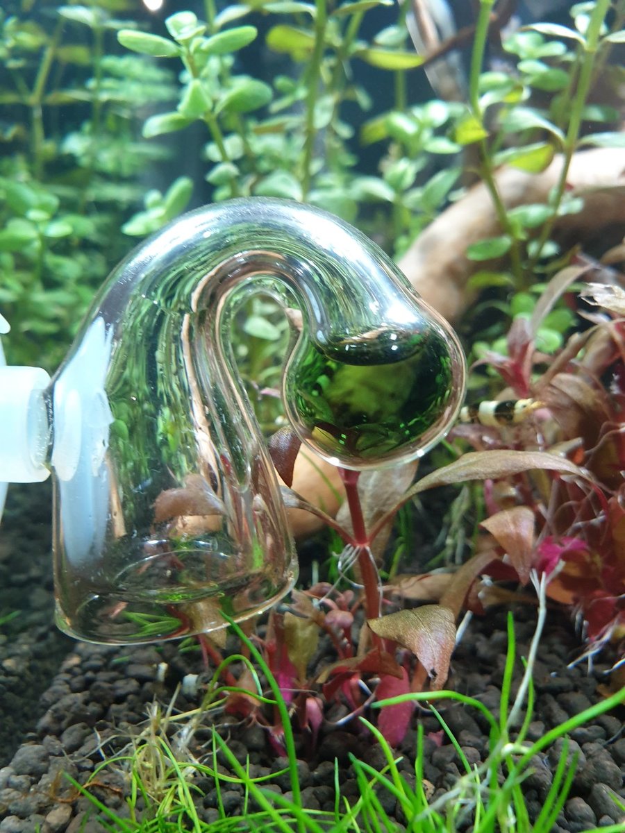 20201101_135335.jpg
