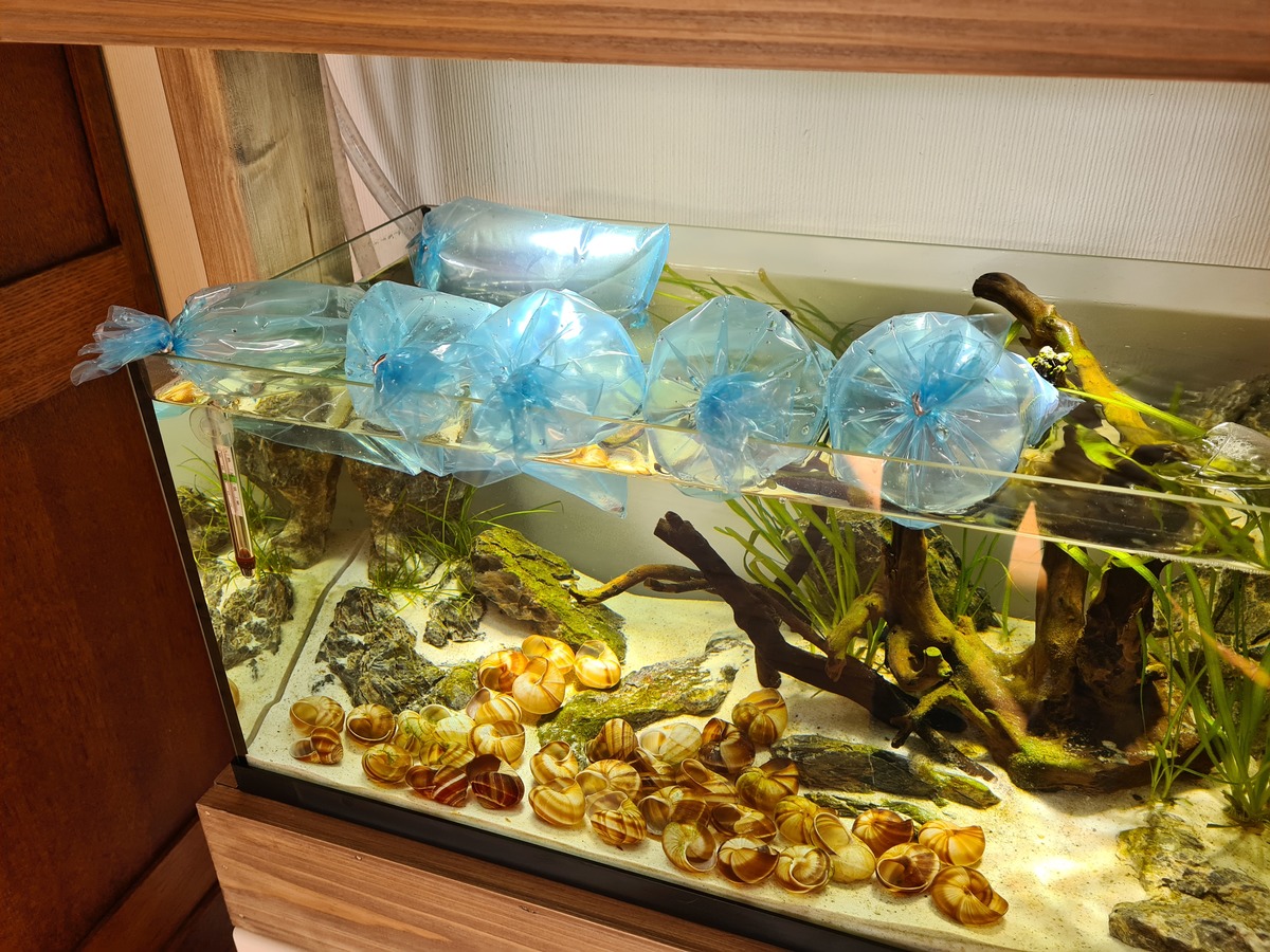 20201105_142026.jpg