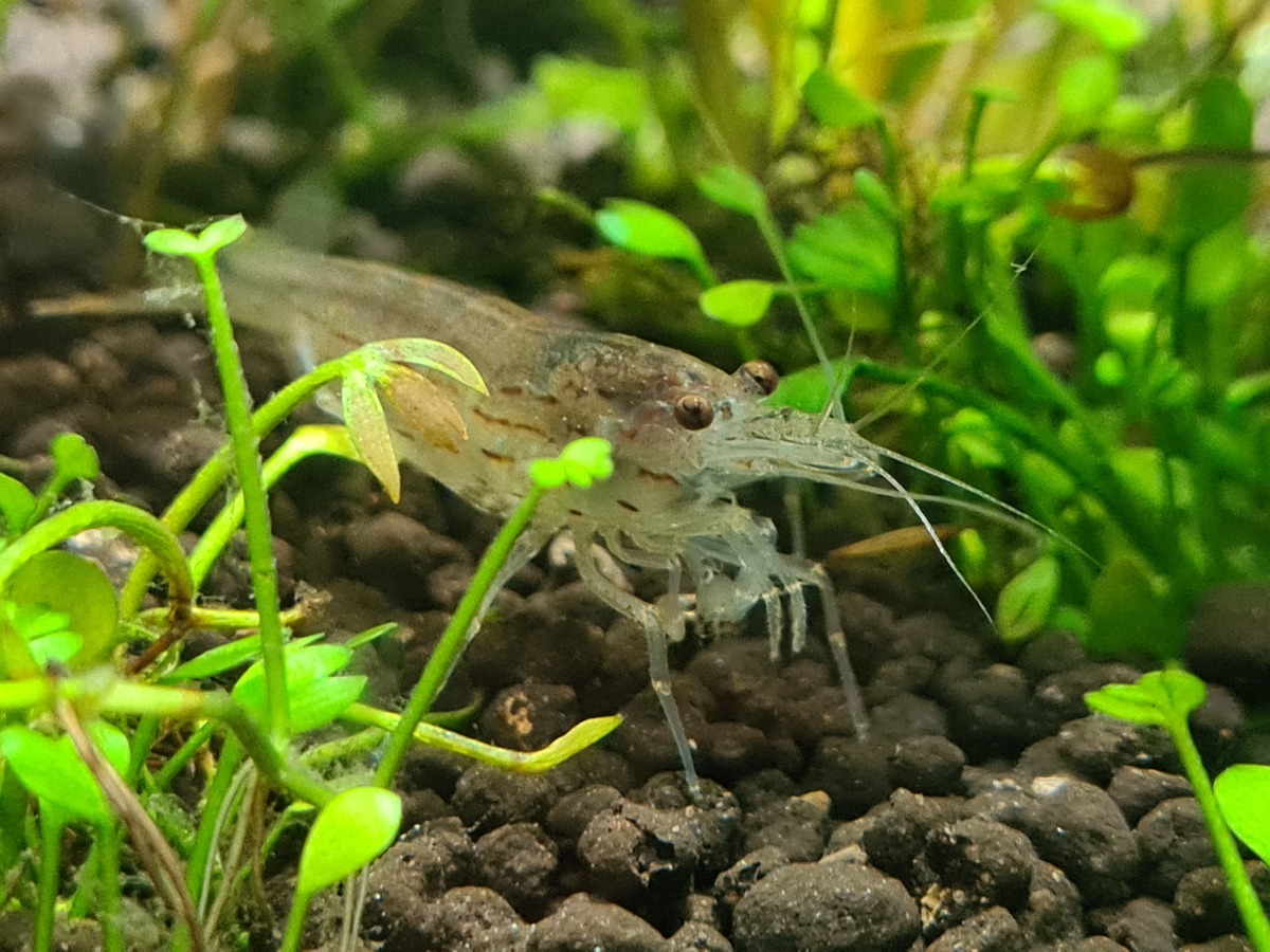 20201105_144049.jpg