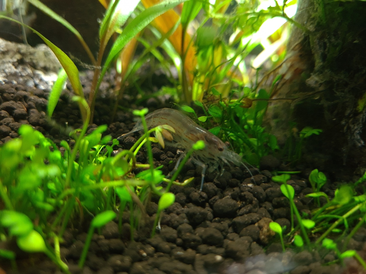 20201105_144120.jpg