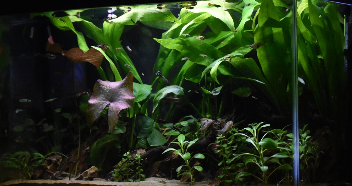 20201105_164521.jpg