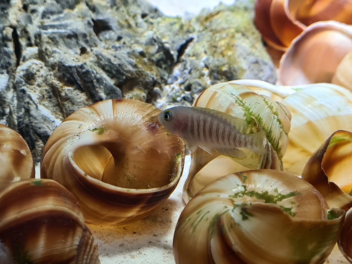 20201105_193358.jpg