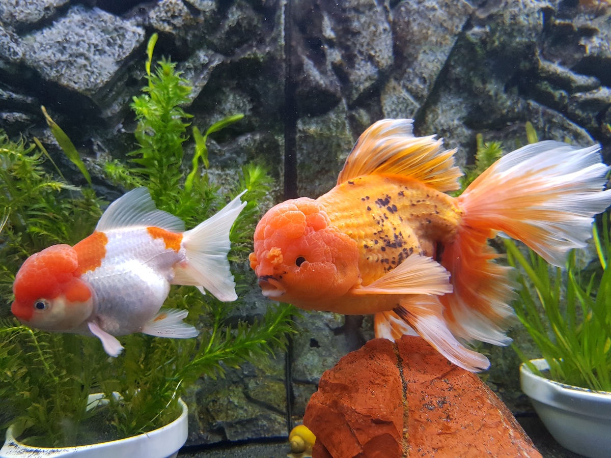 20201106_184251.jpg