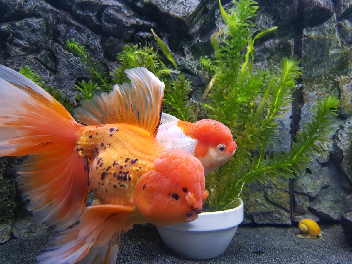 20201106_184304.jpg