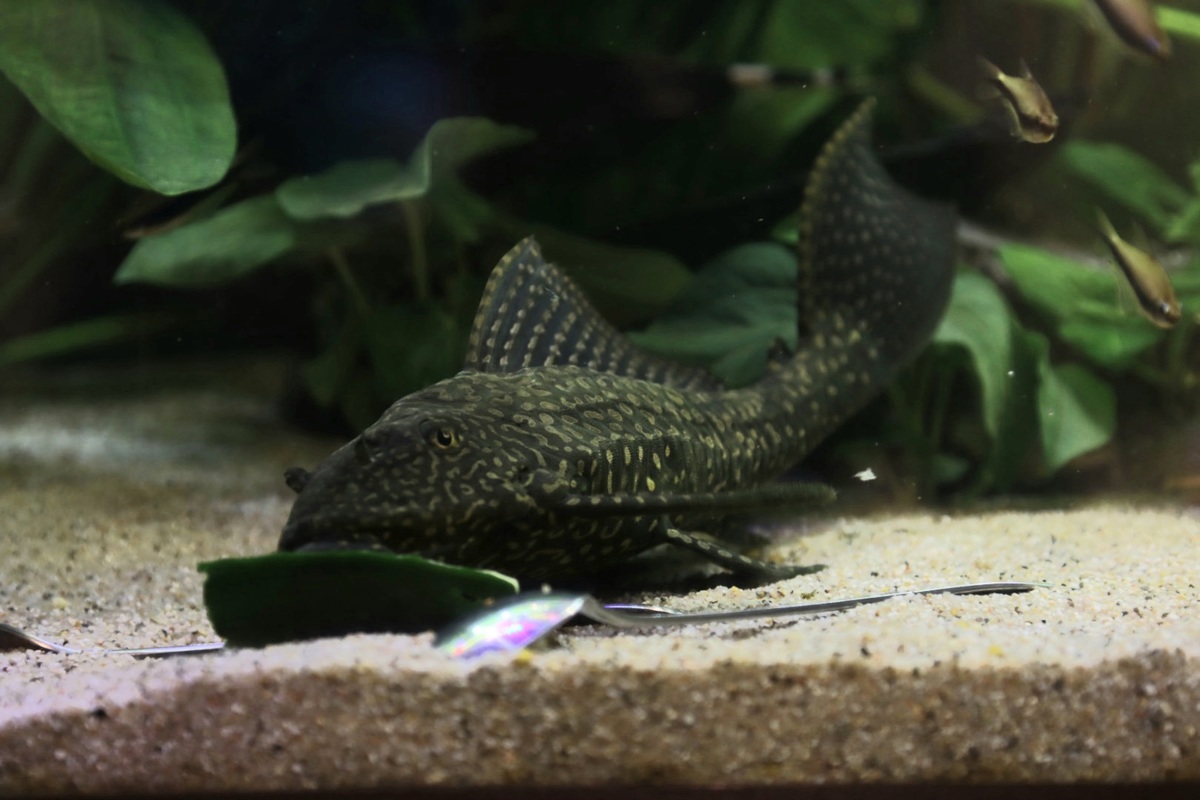20201107_203732.jpg