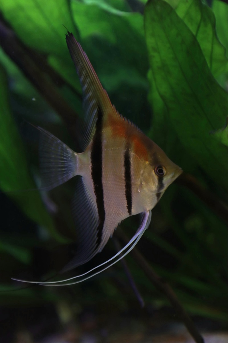20201107_203749.jpg