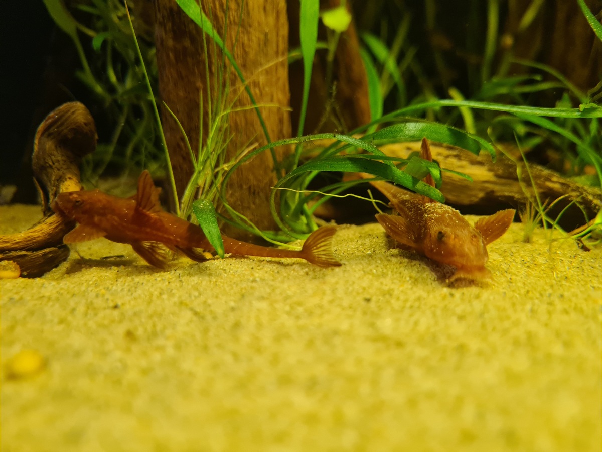 20201108_142341.jpg
