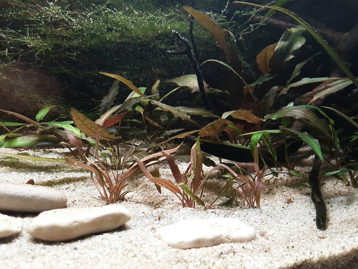 20201114_175621.jpg