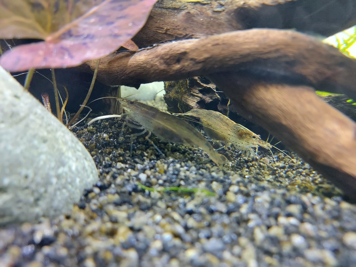 20201115_153139.jpg