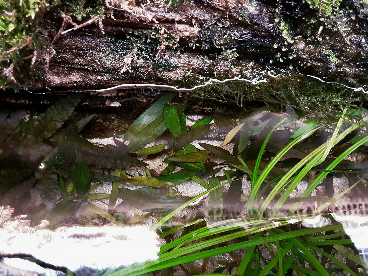 20201115_174408.jpg