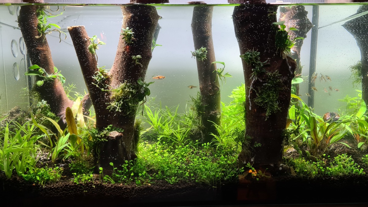 20201118_195959.jpg