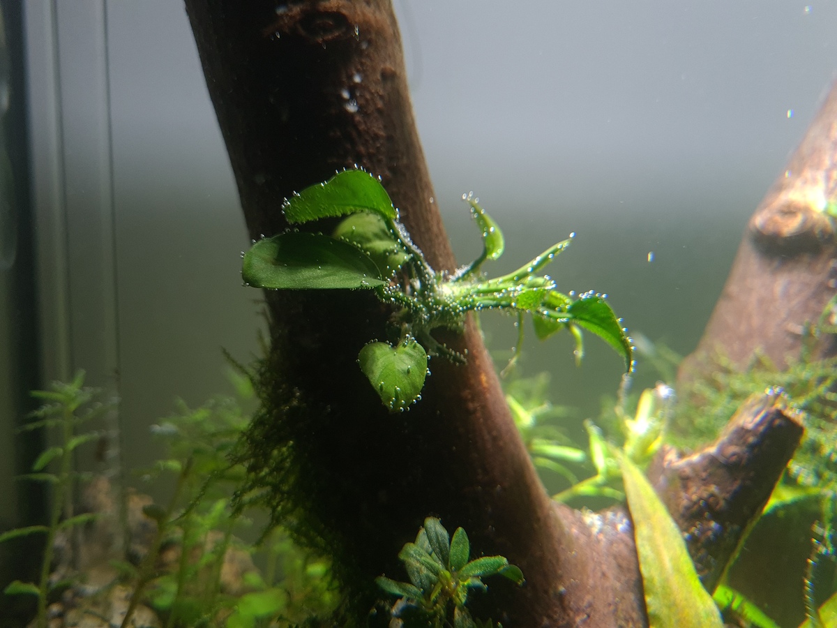 20201118_202141.jpg