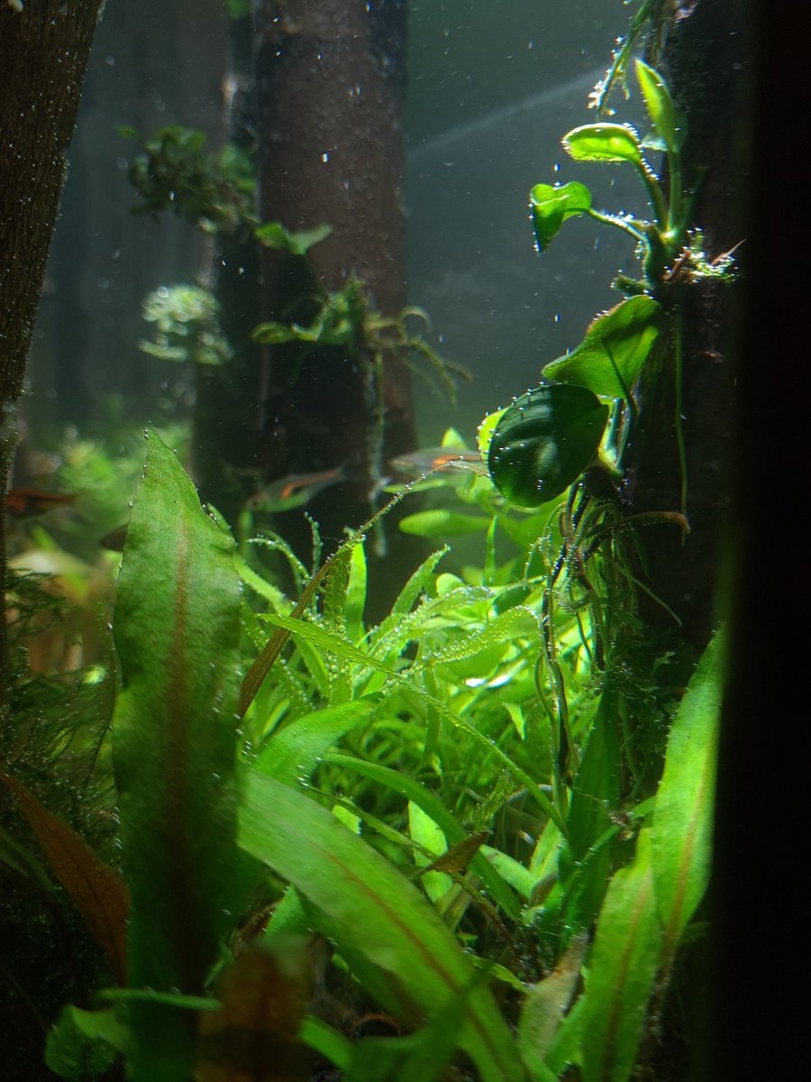 20201118_202256.jpg