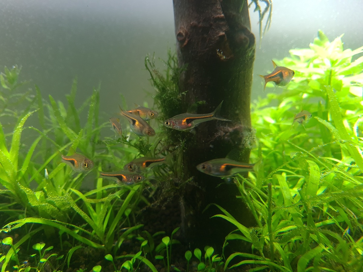 20201118_202415.jpg