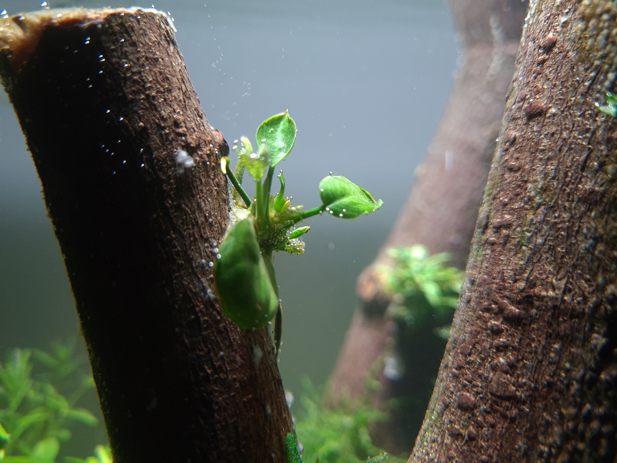 20201118_202439.jpg