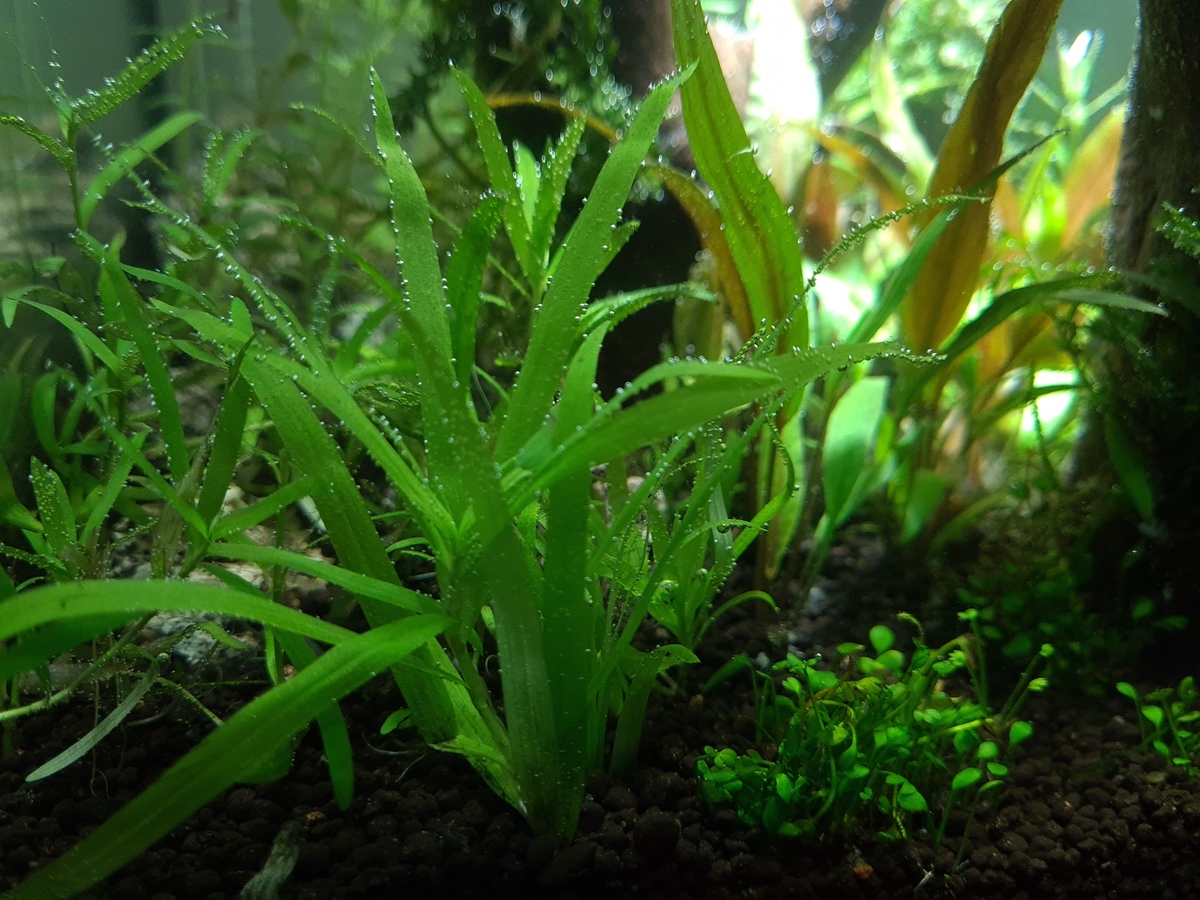 20201118_202455.jpg