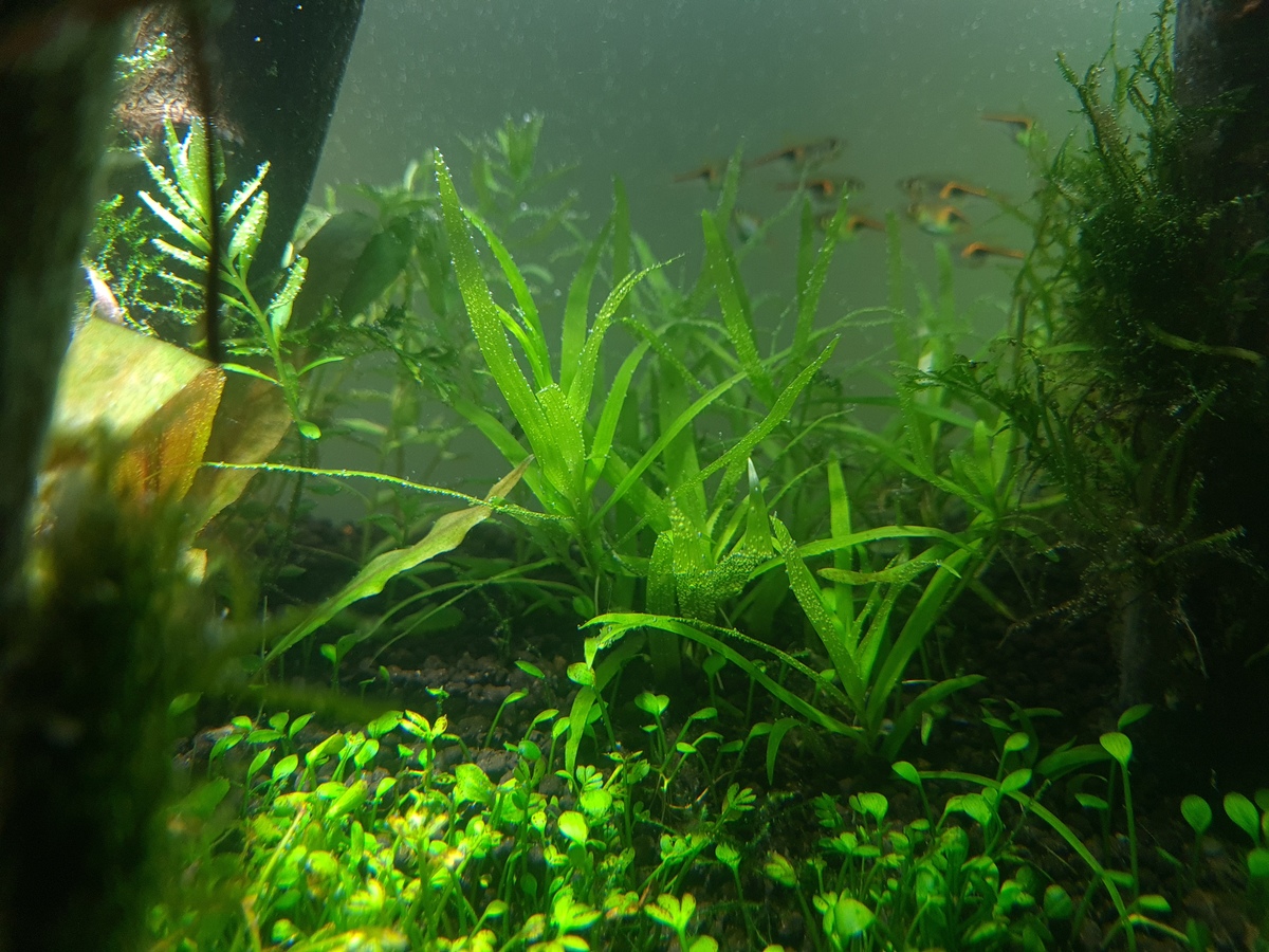 20201118_202534.jpg