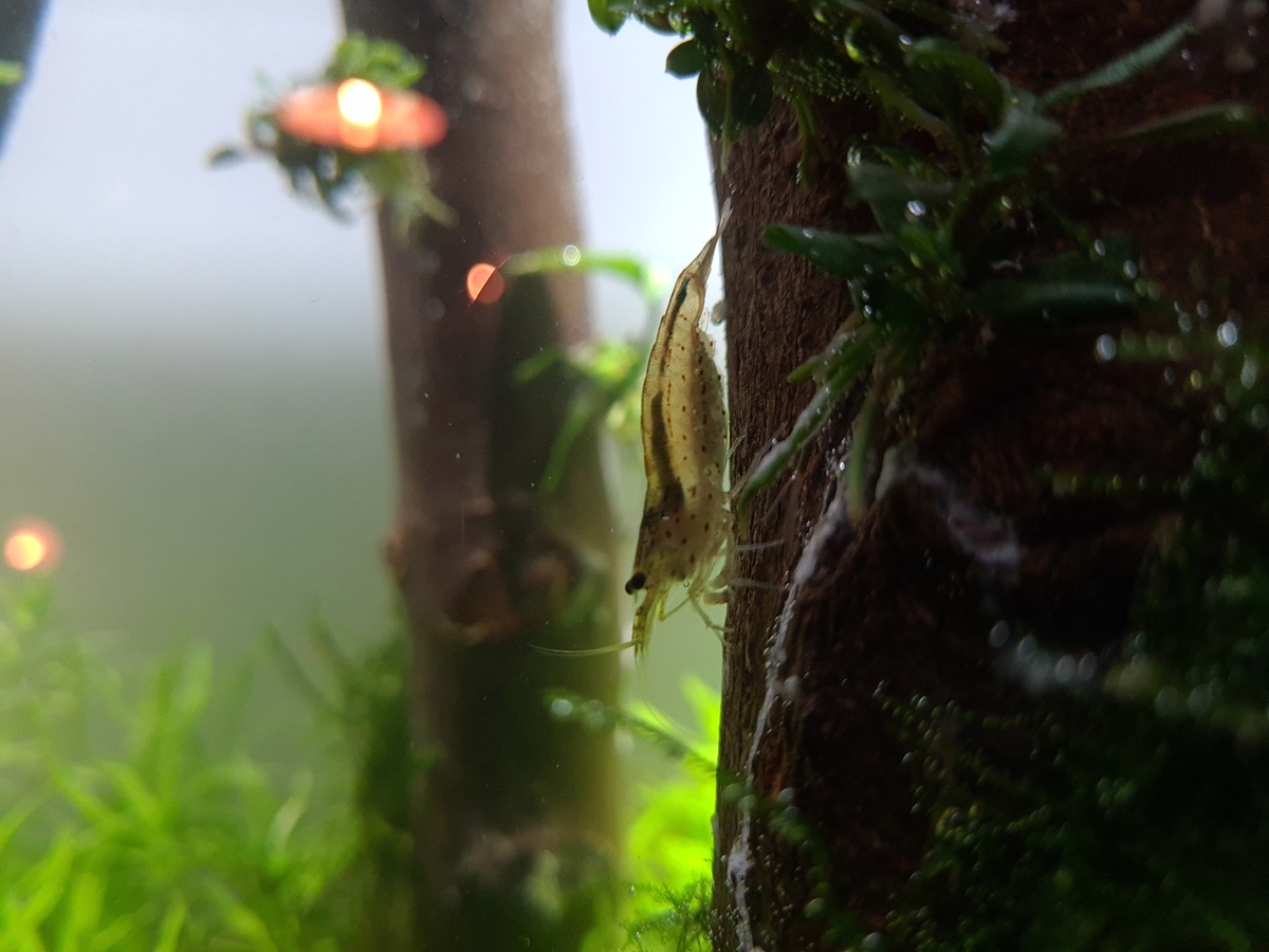 20201118_202610.jpg
