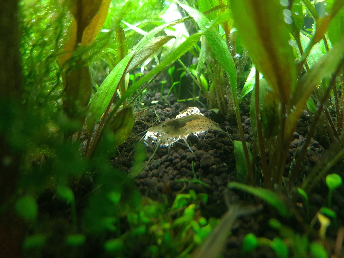 20201118_202628.jpg