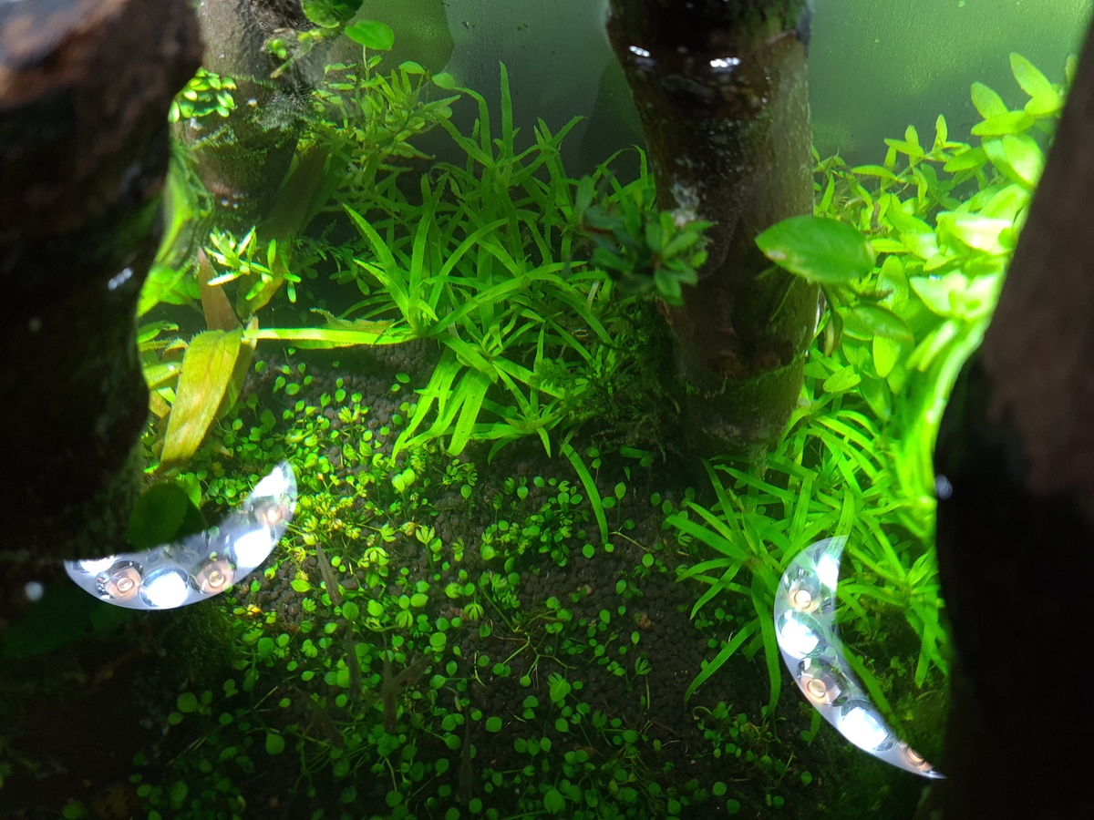20201118_202839.jpg