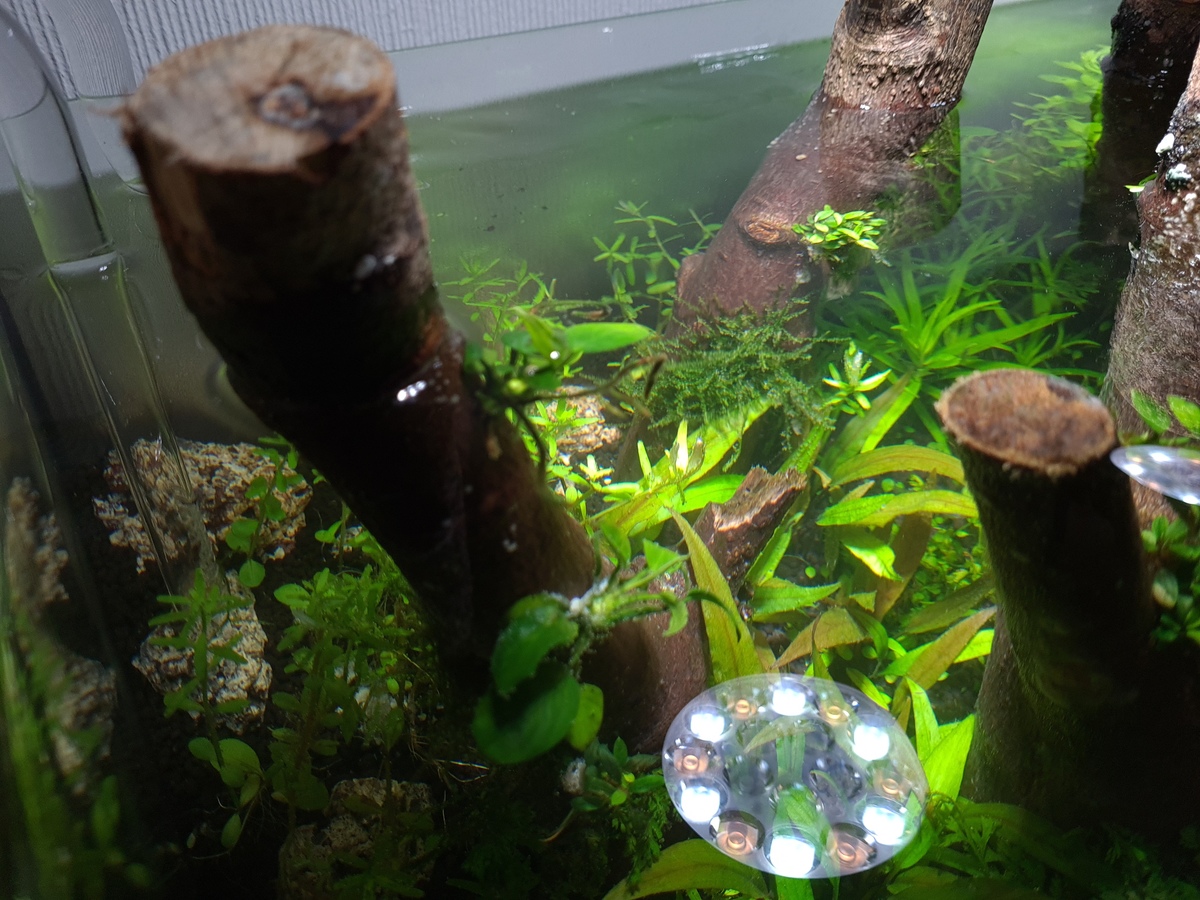 20201118_202849.jpg