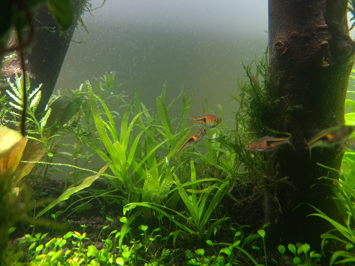 20201118_202921.jpg