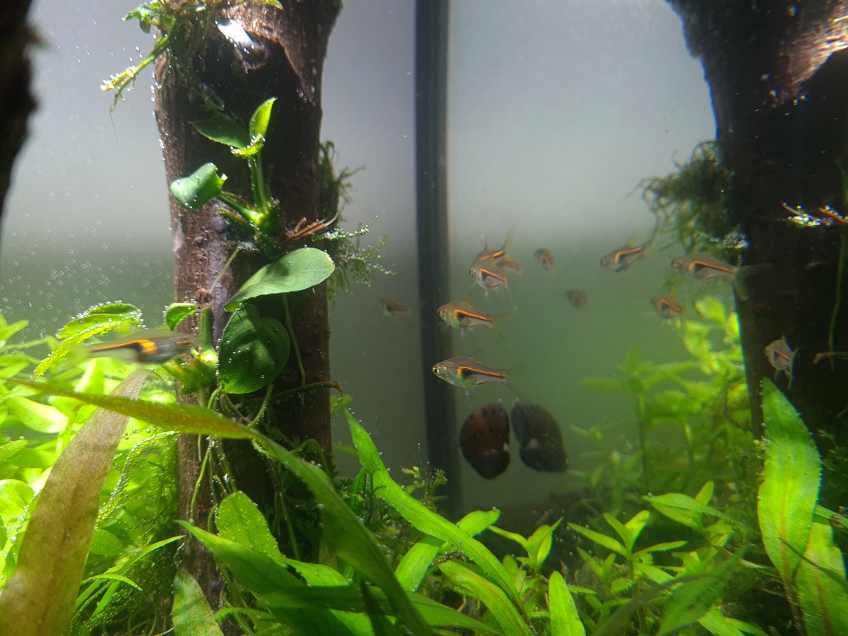 20201118_202929.jpg