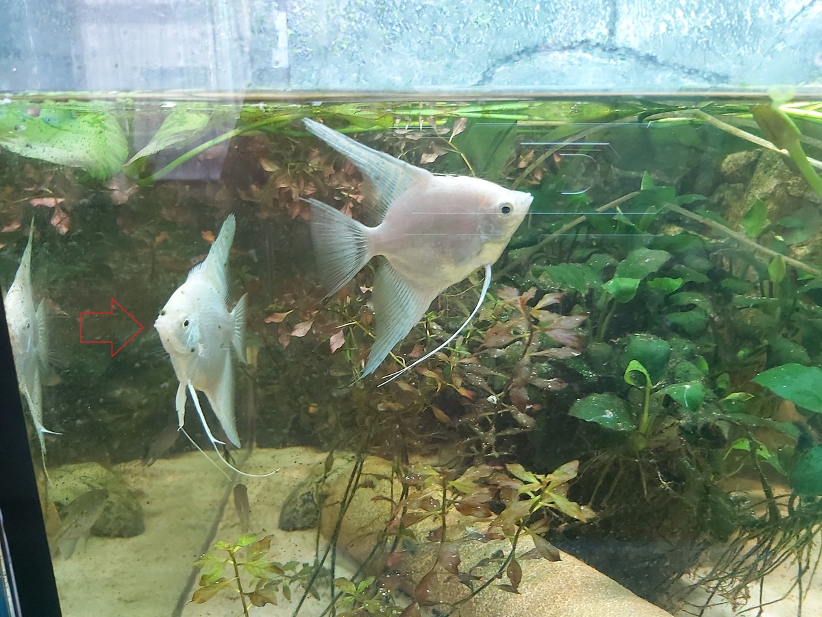 20201120_135847.jpg