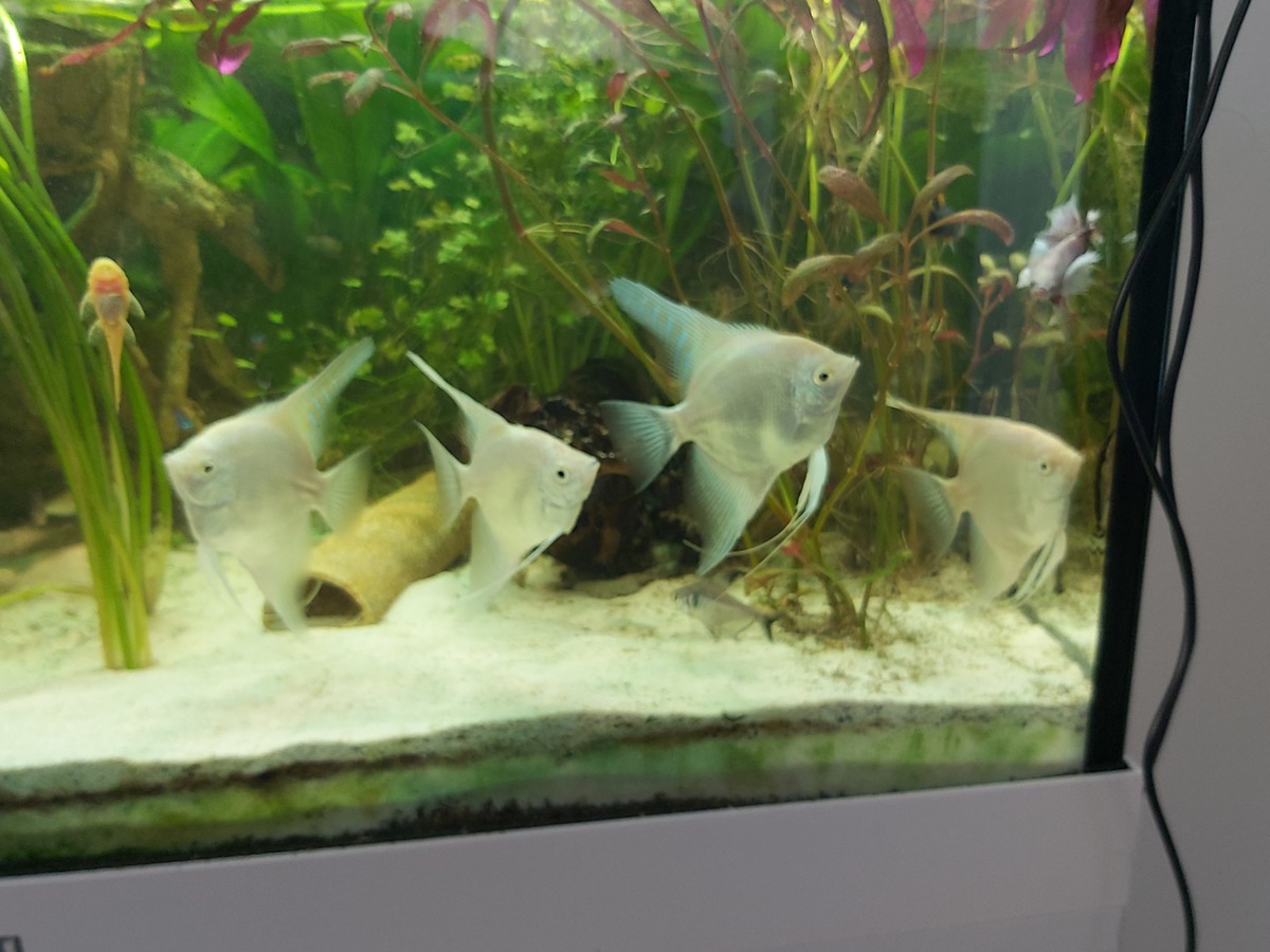 20201120_140313.jpg