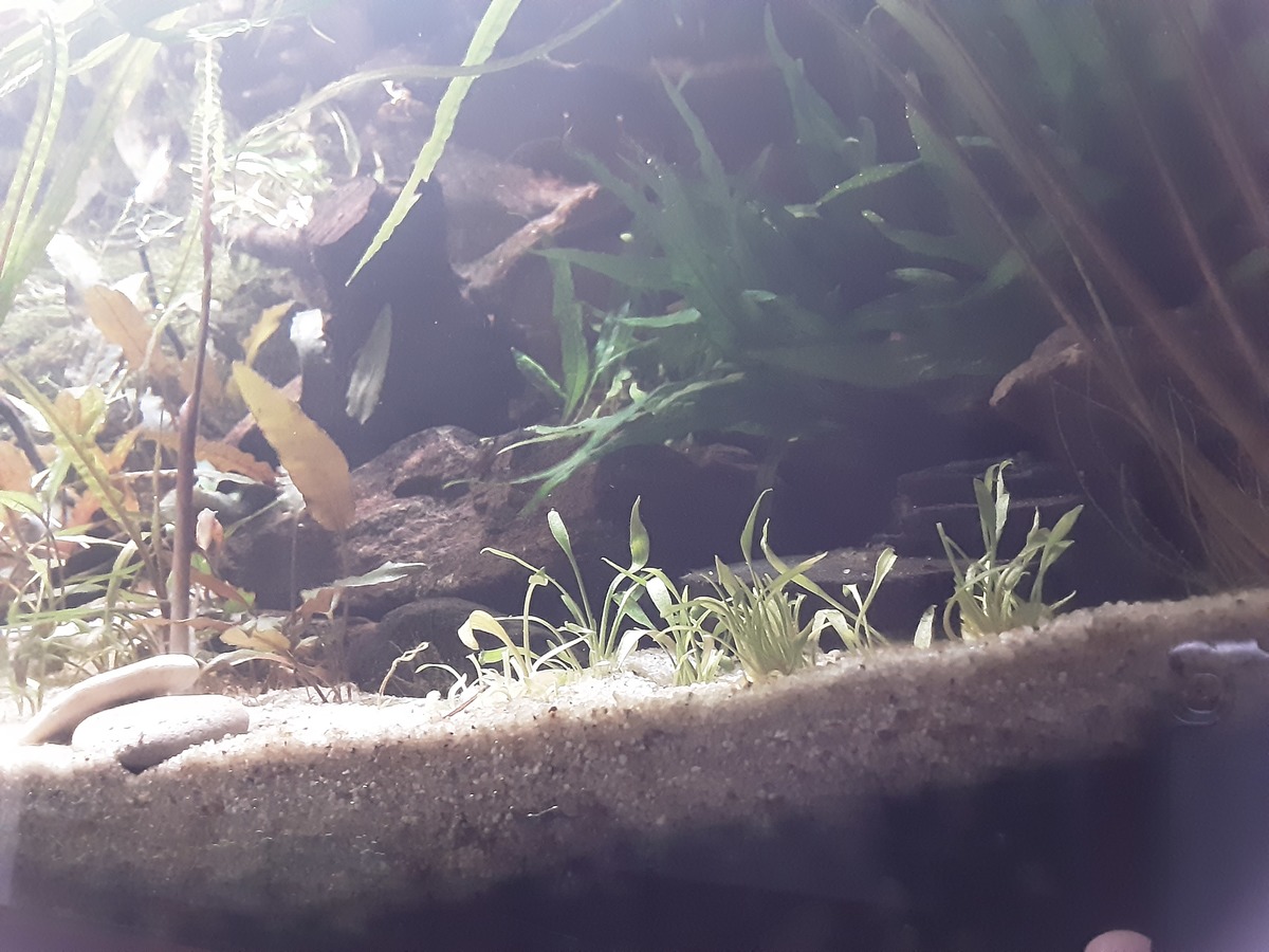 20201122_171011.jpg