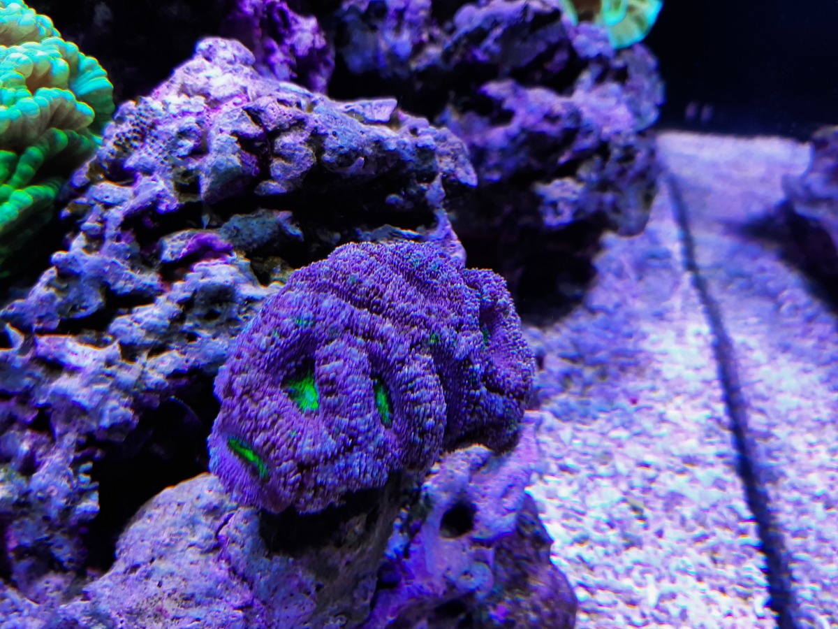 20201128_154316.jpg