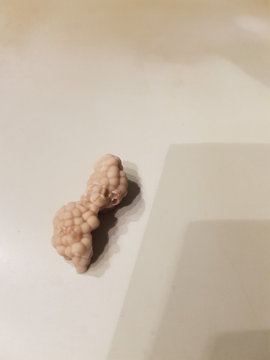 20201204_200344.jpg
