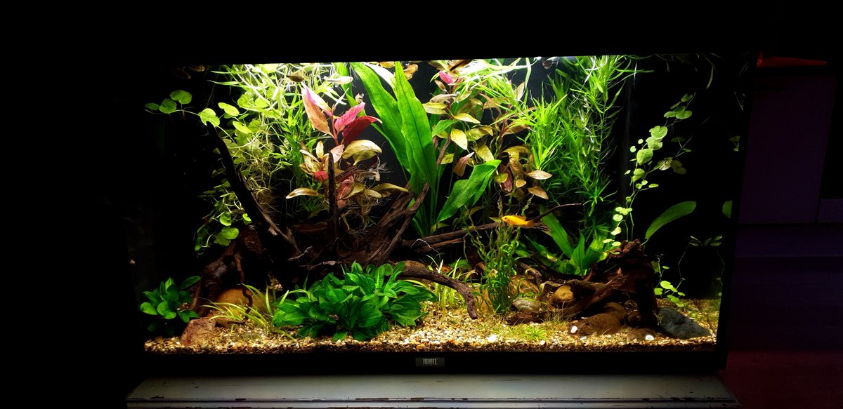 20201206_161123.jpg