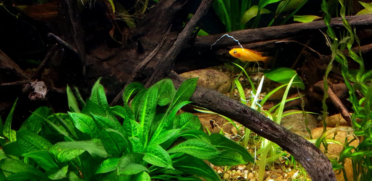 20201206_161137.jpg