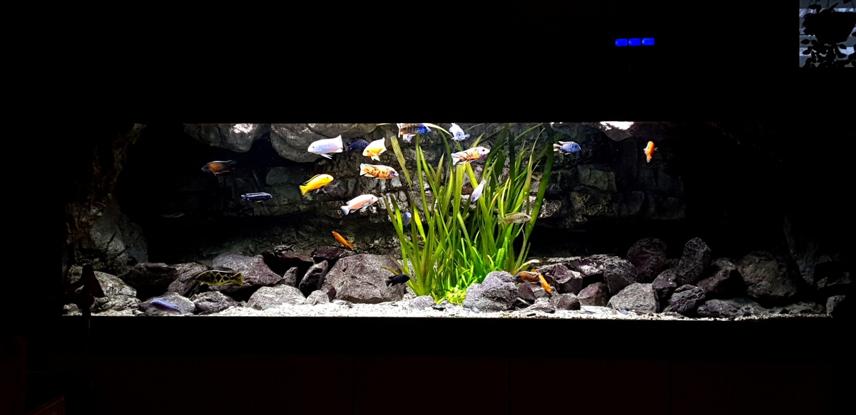 20201206_161214.jpg