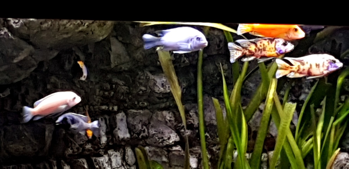 20201206_161247.jpg