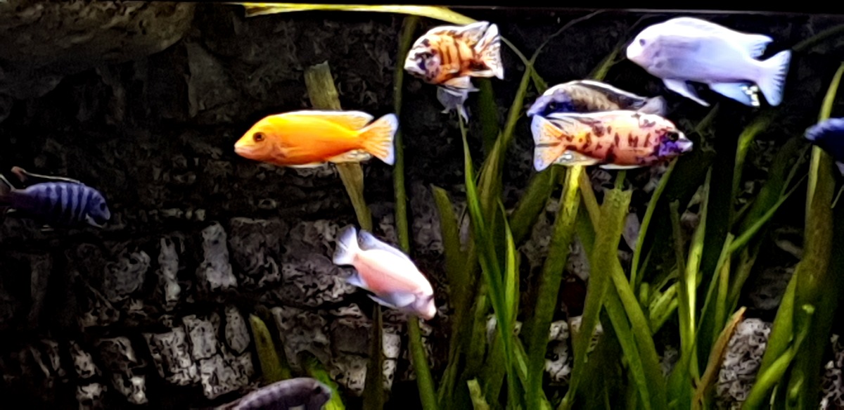 20201206_161250.jpg