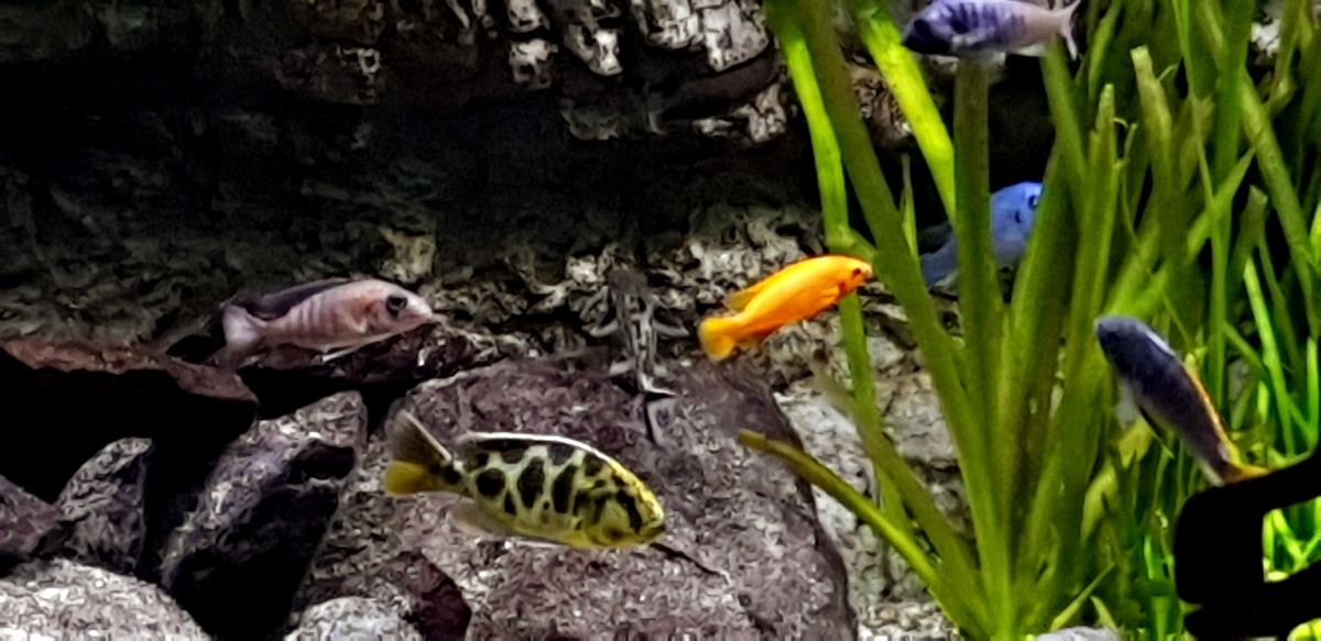 20201206_161300.jpg