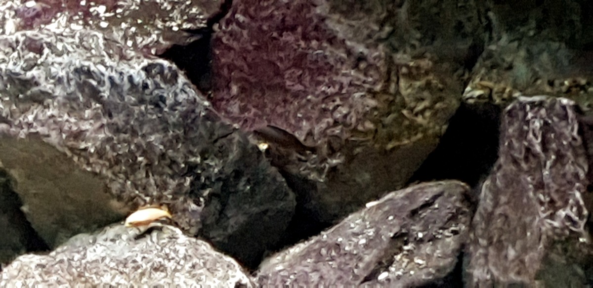 20201206_164759.jpg