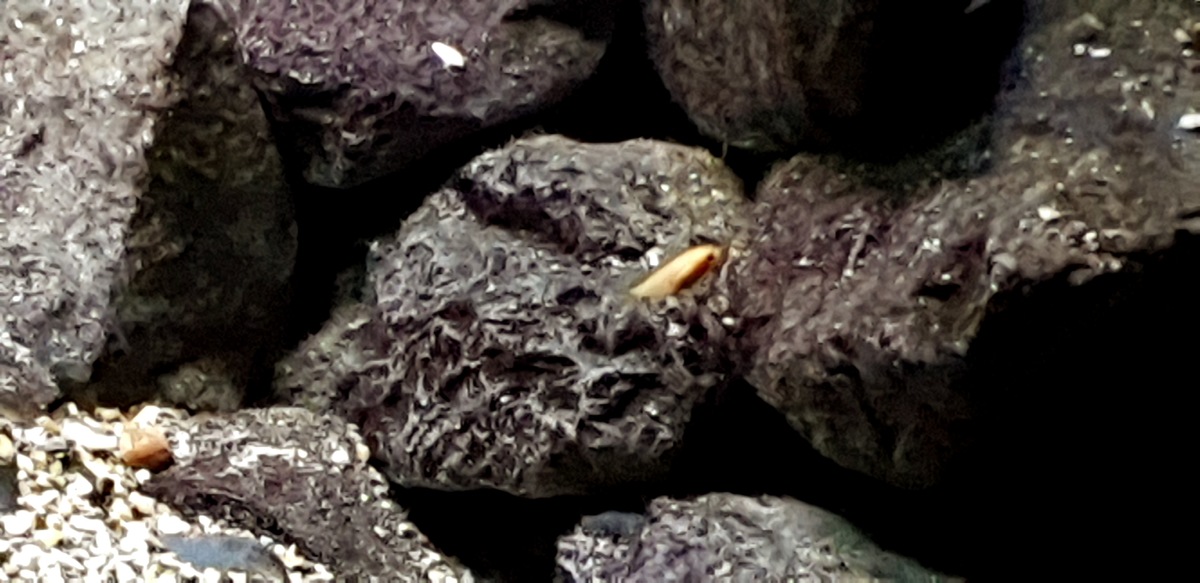 20201206_164806.jpg