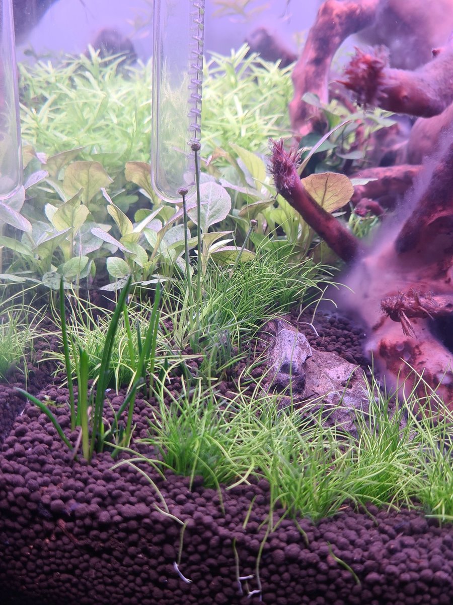 20201207_142300.jpg